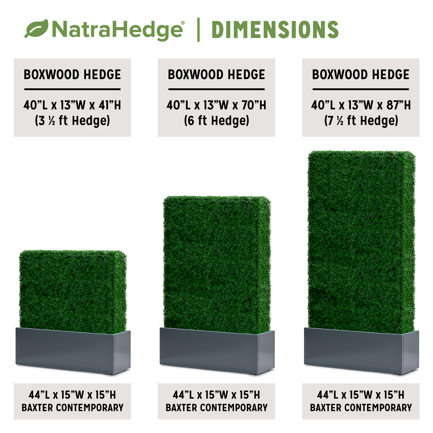 Freestanding Boxwood Hedge