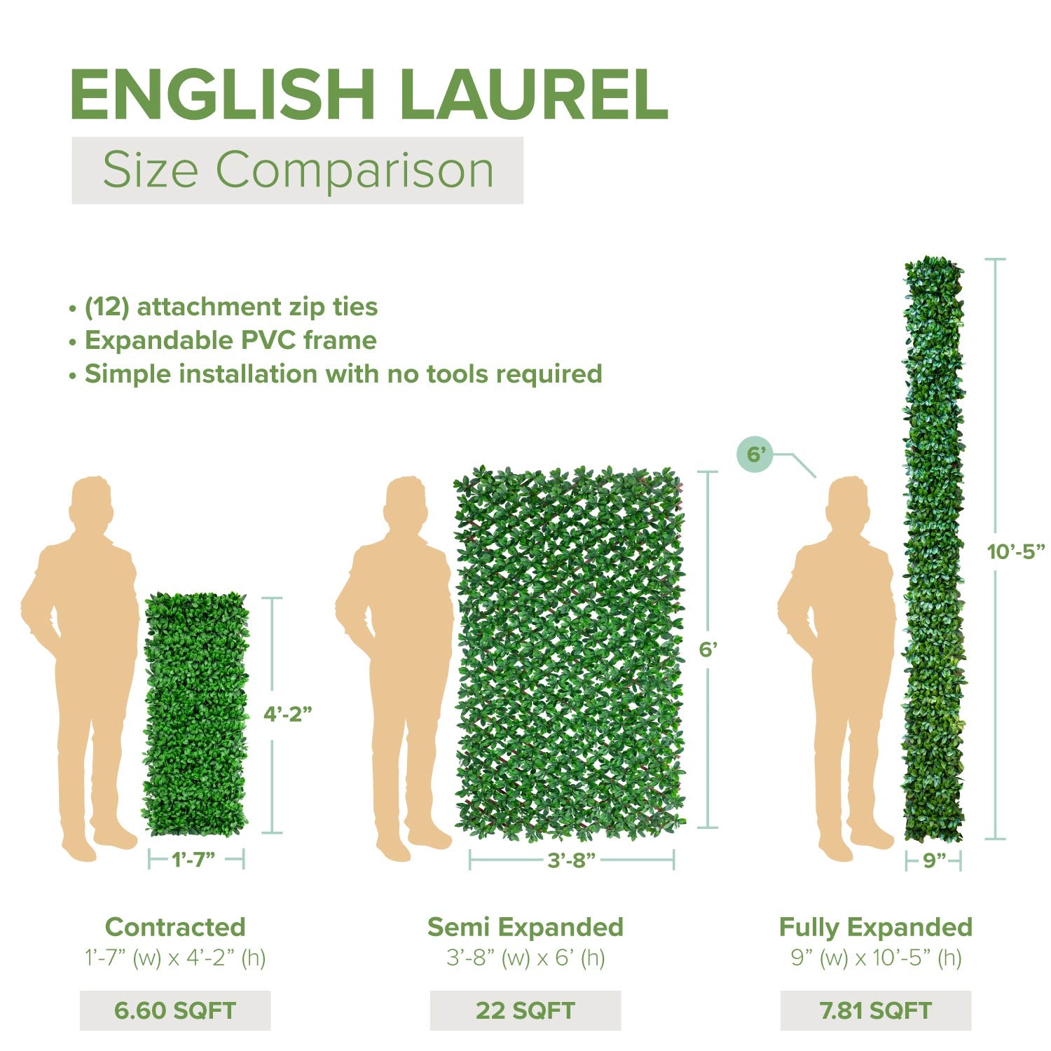 Expandable English Laurel Privacy Fence