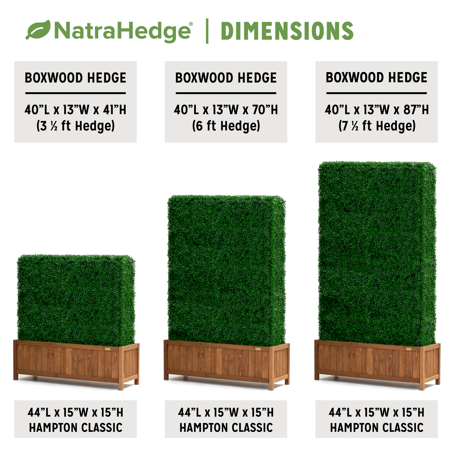 Freestanding Boxwood Hedge